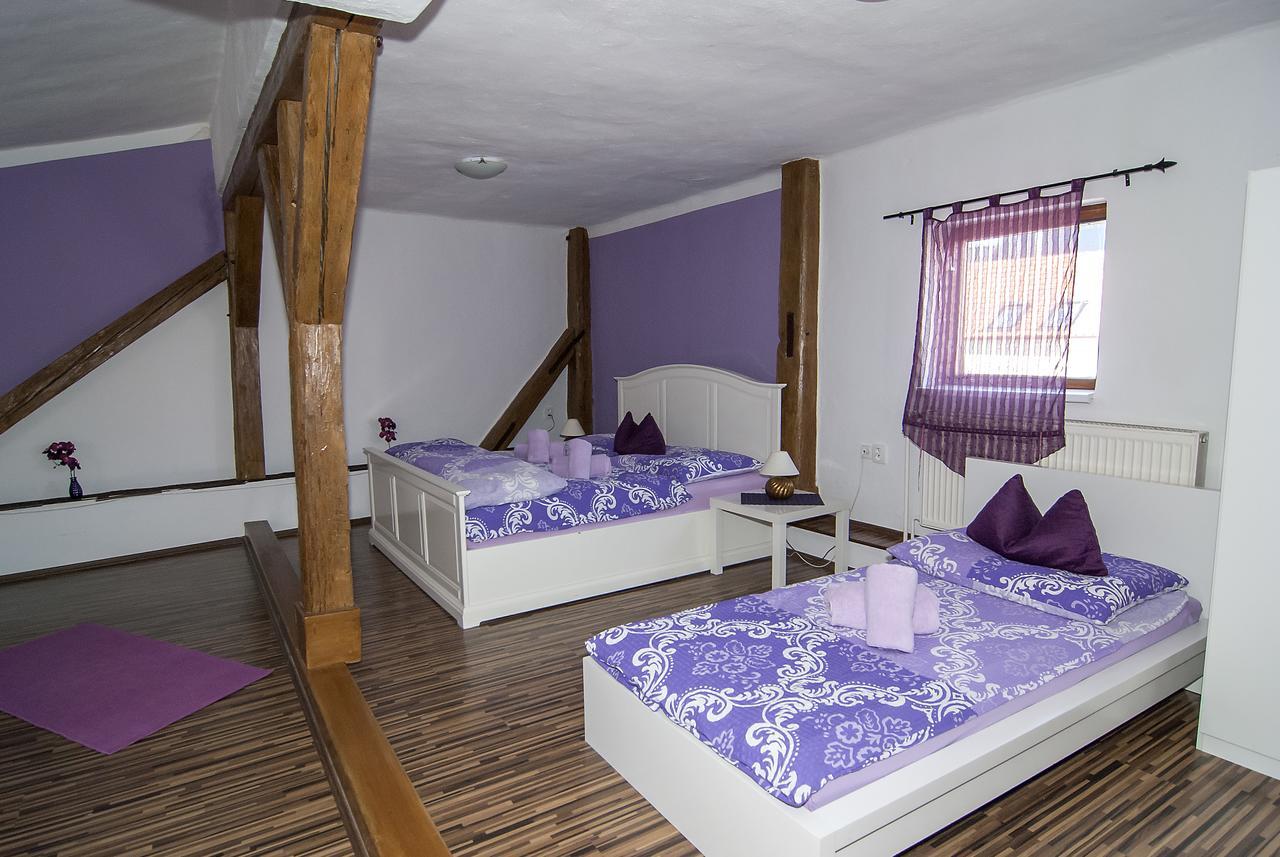 Fontana Pizzeria - Pension Ceske Budejovice Extérieur photo